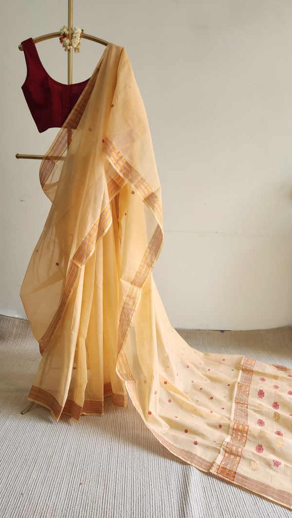 'KAUSHIKI' Handwoven Venkatagiri Cotton Saree
