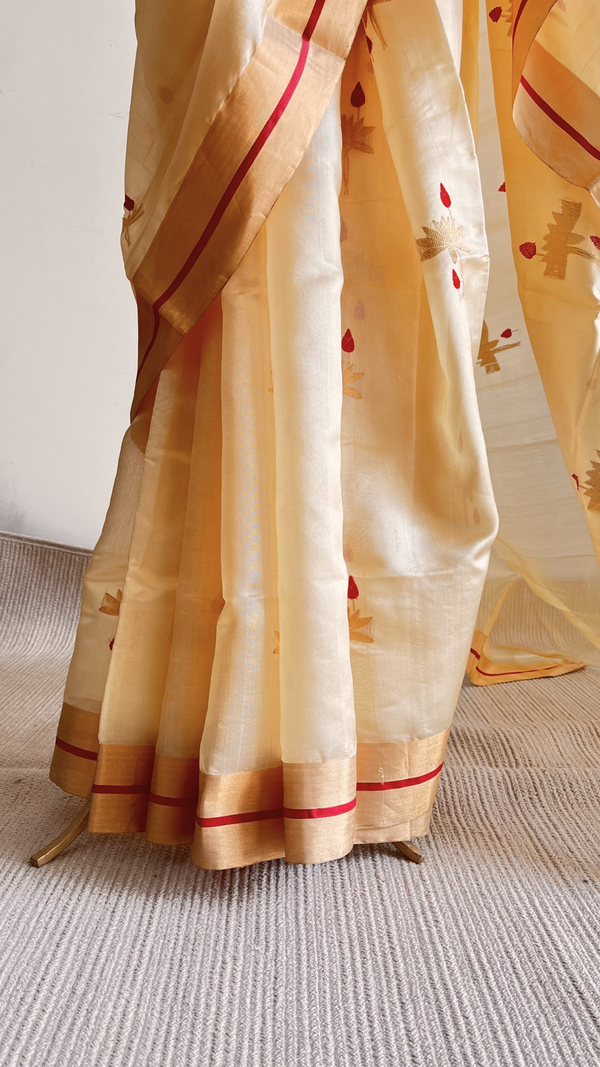 'CHITRA' Handwoven Silk Chanderi Saree