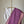 'CHABI-R GUCHHO' Handwoven Cotton Dhonekhali Saree