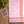 'BIBHA: Light Pink' Handwoven Begumpuri Saree