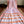 'BIBHA: Light Pink' Handwoven Begumpuri Saree