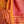 'MEERA' Handwoven Begumpuri Cotton Saree