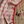 'RHEA: Beige - Red' Handwoven Begumpuri Cotton Saree