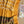 'TARUNIKA' Handwoven Pochampally Cotton