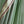 'KUSUMITA' Handwoven Silk-Cotton Maheshwari Saree