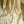 'SHARINI' Handwoven Silk-Cotton Maheshwari Saree