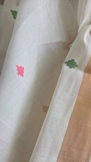 'NANMANI' Handwoven Venkatagiri Cotton Saree