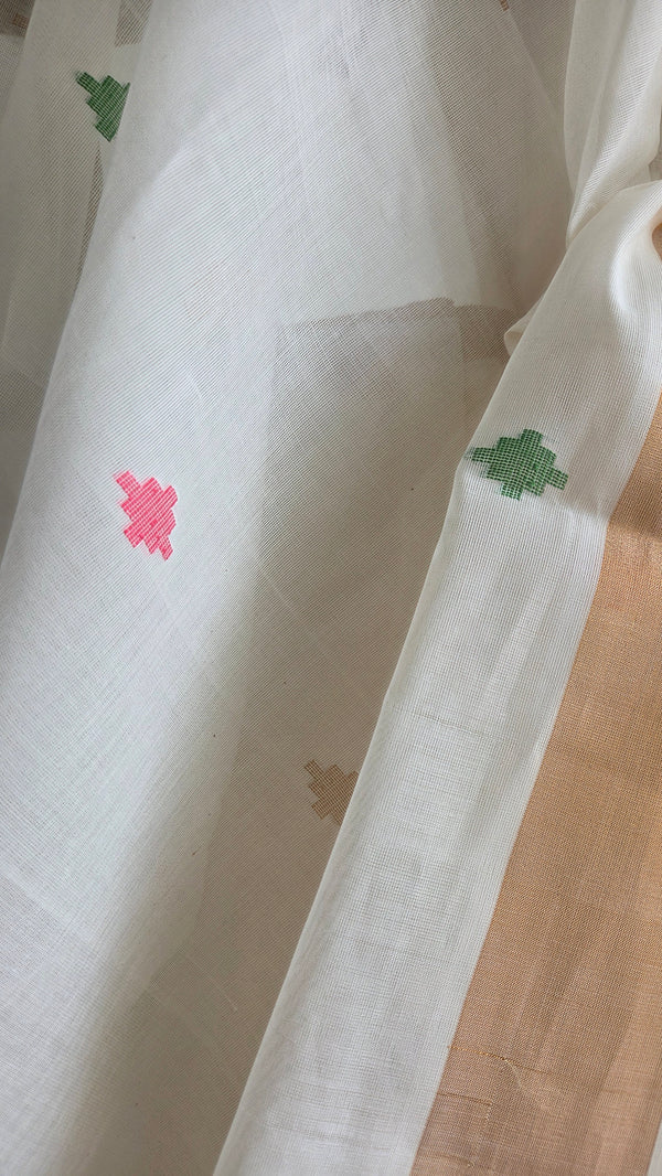 'NANMANI' Handwoven Venkatagiri Cotton Saree