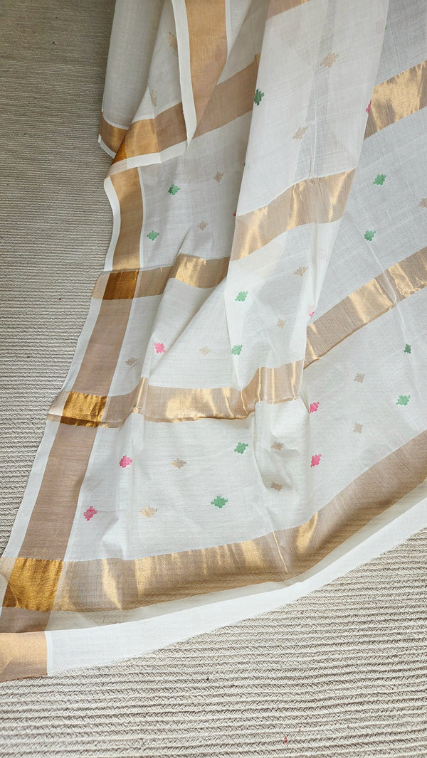 'NANMANI' Handwoven Venkatagiri Cotton Saree