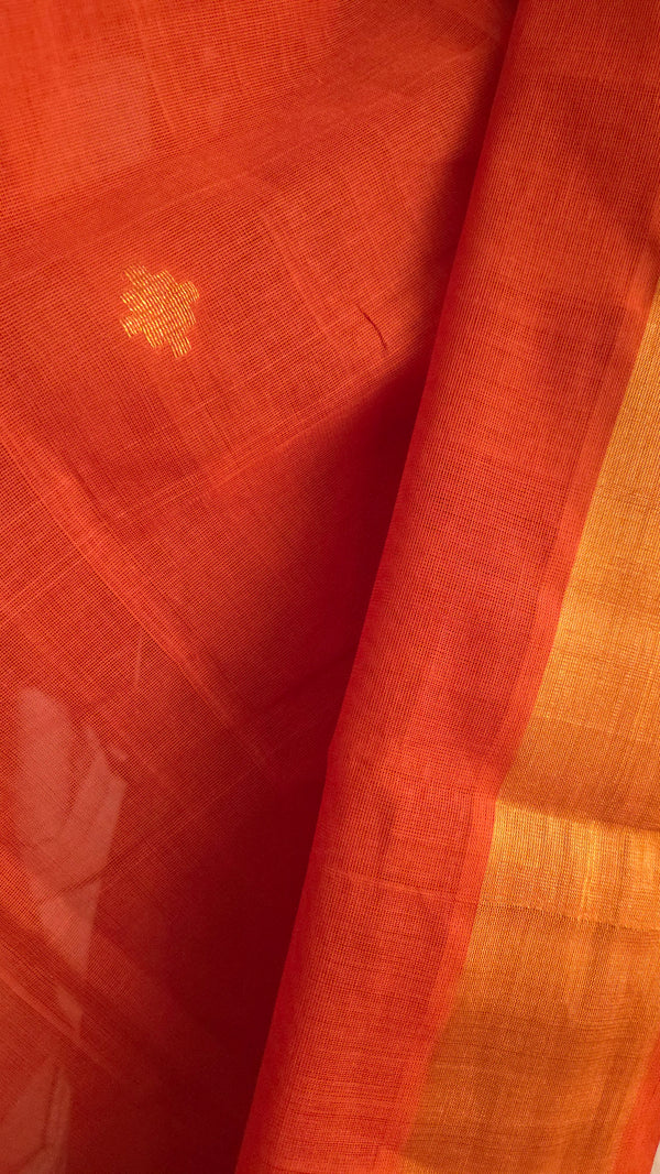 'AMBUJA' Handwoven Venkatagiri Cotton Saree