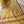 'KANTI' Handwoven Mangalagiri Cotton Saree