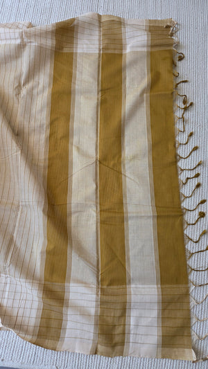 'CIRCLE BACK' Handwoven Mangalagiri Cotton Saree