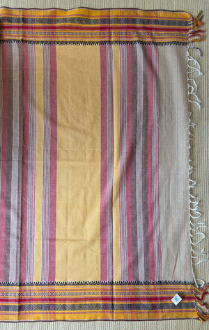 'ANWESHA: Ganga' Handwoven Begumpuri Saree