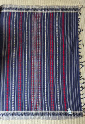 'NEELIMA' Handwoven Begumpuri Saree