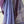 'SHIULI TOLA: Periwinkle' Handwoven Cotton Dhonekhali Saree