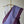 'SHIULI TOLA: Periwinkle' Handwoven Cotton Dhonekhali Saree