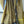 'SHEDIN DUPHURE' Handwoven Cotton Dhonekhali Saree