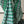 'KATHA-KOLI: Green' Handwoven Cotton Dhonekhali Saree