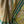 'ALAYA' Handwoven Narayanpet Cotton Saree