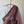 'KANTI' Handwoven Narayanpet Cotton Saree