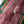 'KANTI' Handwoven Narayanpet Cotton Saree
