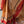 'SIMHA' Handwoven Narayanpet Cotton Saree