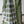 'PIYALI Handwoven Cotton Dhonekhali Saree