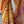 'HEMANTA' Handwoven Cotton Dhonekhali Saree