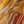 'HEMANTA' Handwoven Cotton Dhonekhali Saree