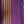 'KANIKA: Purple' Handwoven Begumpuri Cotton Saree