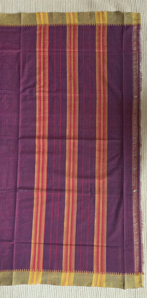 'BOARDROOM CANVAS' Handwoven South Cotton Saree
