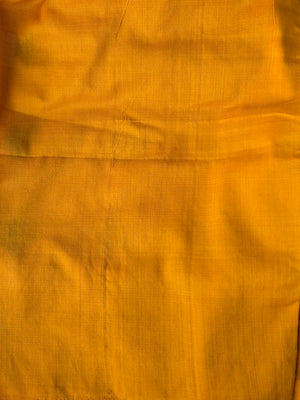 'BULLET POINTS' Handwoven Pochampally Ikat Cotton Saree