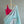 Punchiri | ULLASA Handwoven Silk Cotton Saree