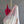 Punchiri | MODA Handwoven Silk Cotton Saree