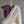 Punchiri | UTSAVA Handwoven Silk Cotton Saree