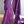 'GHATAPRABHA' Handwoven Ilkal  Cotton Saree