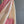 'NARAYANI' Handwoven Bengal Tussar Silk Saree