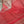 'YOGAMAYA' Handwoven Bhagalpuri Tussar Silk saree