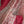 'MADHURIMA' Handwoven Cotton Dhonekhali saree