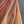 'SUHASINI' Handwoven Cotton Dhonekhali saree