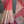 'ARUNIKA' Handwoven Cotton Dhonekhali saree