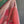 'ARUNIKA' Handwoven Cotton Dhonekhali saree