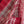 'AMODINI' Handwoven Cotton Dhonekhali saree