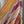 'TARANGINI' Handwoven Cotton Dhonekhali saree