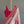 'MANGALIKA' Handwoven Silk-Cotton Chanderi Saree
