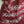 'SHUBHANGI' Handwoven Cotton Pochampally Ikat Saree