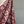 'SHUBHANGI' Handwoven Cotton Pochampally Ikat Saree