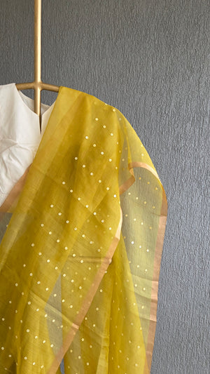 'TAVISHI - LIME YELLOW' Handwoven Resham Saree