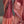 'PAROMITA' Handwoven Cotton Dhonekhali Saree