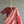 'PAROMITA' Handwoven Cotton Dhonekhali Saree